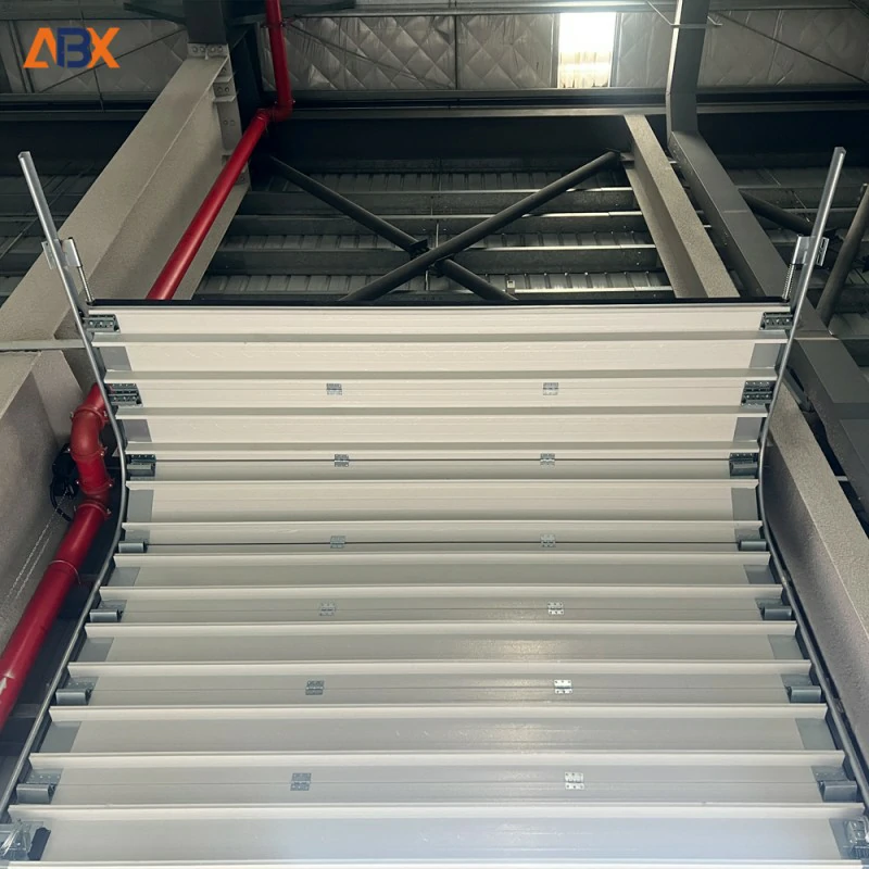 Food Processing Plant Workshop Entrance Industrial Door Overall Configuration Solution